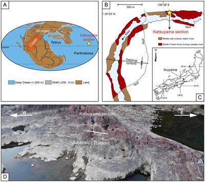 Lower Jurassic conodonts from the Inuyama area of Japan: implications for conodont extinction